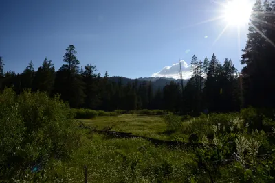 DSC_3525 (Large).JPG